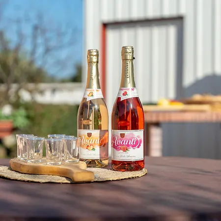 House Leonardo * Galovac (Zadar)